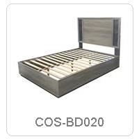 COS-BD020